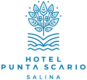 Hotel Punta Scario logo