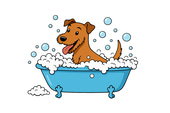 Bela Bubble logo