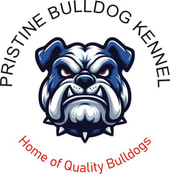 Yogostar Bulldogs Kennel logo