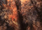 Abstract impression of trees in warm autumn tones, ethereal landscape photography by Martin Osner.