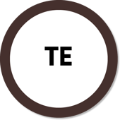 Terapia do Esquema