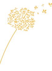 fleur jaune et pétales qui s'envolent