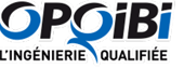 Logo qualification audit
