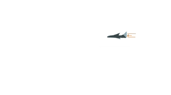 Animated logo for Dubai International Airport - plane enters from right in flight motion