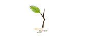 The animation begins with a twig growing from the center, holding a single fresh leaf