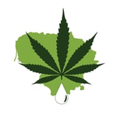 hemp lithuania