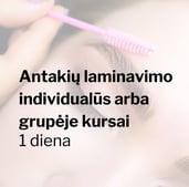 Antakių laminavimo invidualūs arba grupėje kursai