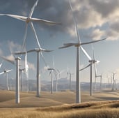 selective photo of a wheat