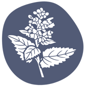 FAQ over de bio-catnip kruiden van greenPAWS