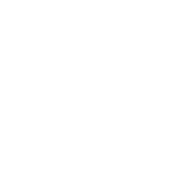 Instituto Xeque-Mate logo