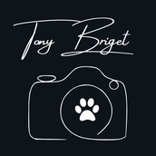 Tony Briget Photographie logo