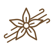 VanJava Beans logo
