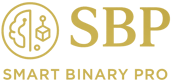 SMART BINARY TOKEN (SBT) logo
