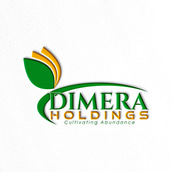 Platform for Projects Consultancy logo