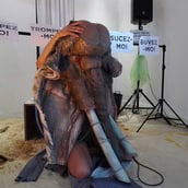 David Noir à genoux se défait du masque Ulin | Photo Karine Lhémon