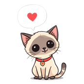 Enquire about the latest Metexa Siamese or Oriental kittens in our Nursery