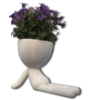 Pots de fleurs blanc