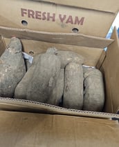 Nigerian yam
