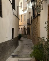 Calle letur