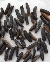 Dried trepangs (sea cucumbers) selected by Madopex, Madagascar's leader in seafood exports.