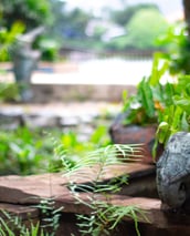 a statue of a elephant and a bird on a rock