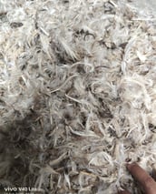 a person holding a pile of white duck feather