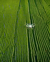 drone flying over a field of crops