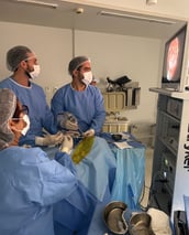 Neurocirurgião especialista em plexo braqueal e Nervos Periféricos