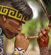Indigena soprando a medicina do rapé com tepi