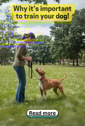 a woman is standing in the grass with a dog