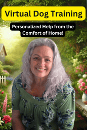 virtual dog training with Charissa McAfee with Sit Happens Here