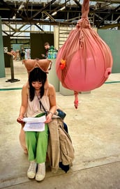 Installation by Lies Aris