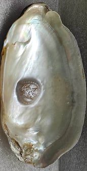 "Divine face motif cultured pearl, approx 11mm white,using nucleus implantation-Meant for export"