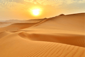 Desierto en los Emiratos Árabes Unidos