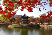 Palacio Gyeongbok, Corea del Sur