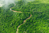 Río Congo rodeado de bosque