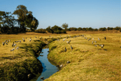 Safari en Zambia