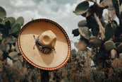 Sombrero mexicano en cactus