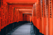 Templo Hallway, Tokio