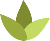 Kilbirnie Beauty Collective logo