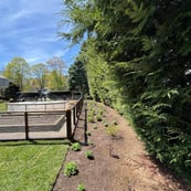 landscaping-along-fenced-in-garden.jpg