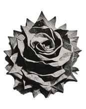 Rosa em preto e branco - revista - marketing