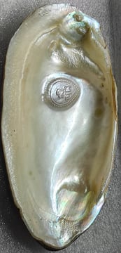 "Approx 11mm white cultured pearl featuring a divine face design–with nucleus implantation-for global shipment"