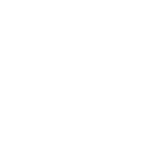 2/5 Fox Company Arma Reforge Realism Unit logo