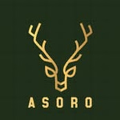 Asoro logo
