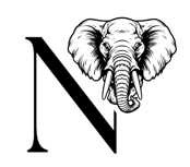 Natalie's Coaching logo