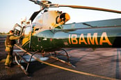 regularização com ibama