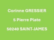 fond vert et nom et adresse du site