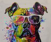 Bulldog