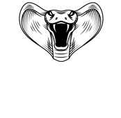 Investigadores Detectives Privados en México